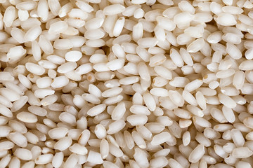rice background