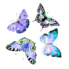 butterfly,watercolor, isolated on a white
