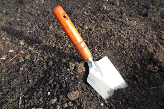 Garden hand trowel in the loosen soil in the garden