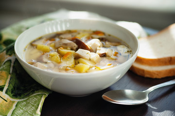 Mushroom soup