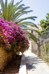 Obraz premium Rhodes