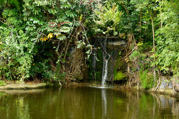 Obraz premium Secluded Falls