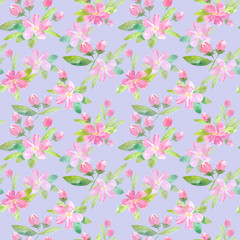 Floral seamless pattern with apple flowers and buds.Watercolor hand drawn illustration.Violet background.