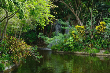 Secluded Falls