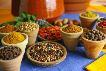 Collection of different spices in old clay bowls in colorful oriental background