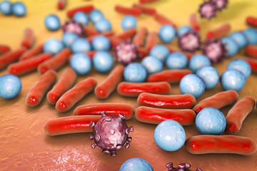 Microbes of different shapes