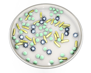 Petri dish with microbes of different shapes. Concept for laboratory diagnosis of infections. 3D illustration. Bacteria and viruses
