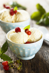 Vanilla ice cream with wild strawberry