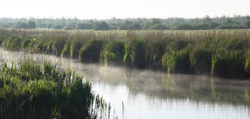Rzeka osnuta porannymi mgłami