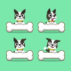 Cartoon character boston terrier dog with big bones