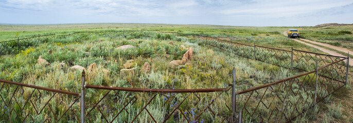 Tengrian ancient burial on the territory of the archaeological monument Terekty-Aulie