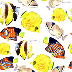 Watercolor fish. Sea fish set illustration isolated on white background