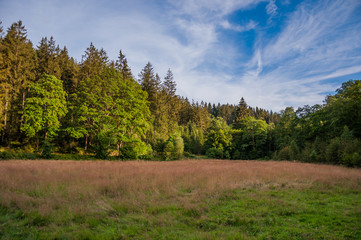 Fototapeta premium Monschau