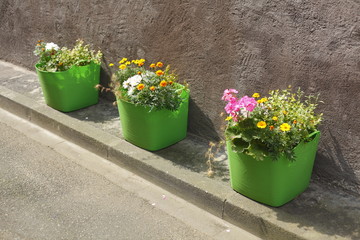 Grüne Blumenkästen an einer Bordsteinkante