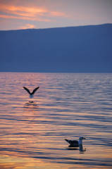 Fototapeta na wymiar Baikal Lake in sunset light, Russian Federation