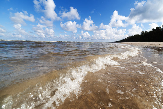 Baltic sea water.