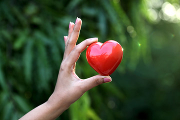 Obraz na płótnie Canvas Red heart shape in the hands against green background