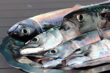 Maquereaux sur plat en étain