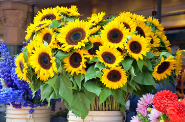 Obraz premium Sunflowers on display at market