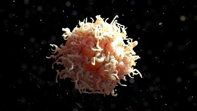 White Blood Cell 001 3D Rendering: Scanning electron microscope image of a white blood cell.