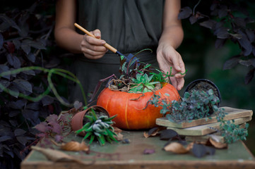 Beautiful fall bouquet in a vase from pumpkin. Preparation for Halloween in the garden. Selective focus.