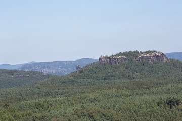 Der Papststein umgeben von Wald, Sächsische Schweiz Ausblick vom Pfaffenstein