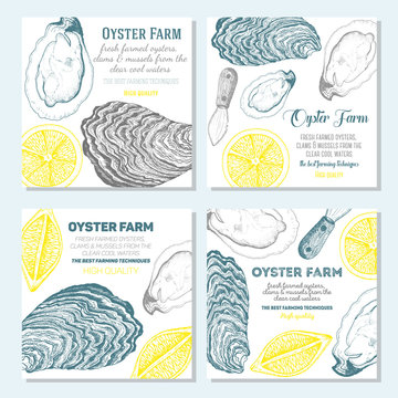 Vector illustration of oyster. Oyster farm and oyster restaurant design template. Oyster banner collection. Linear graphic.