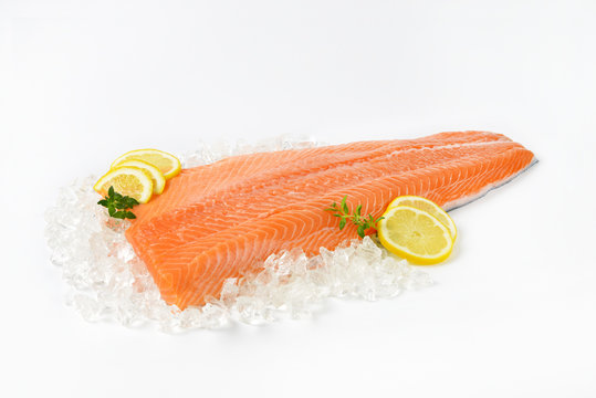 Raw Salmon Fillet On Ice