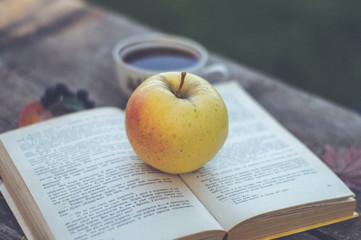 the Apple on the book