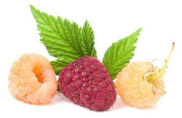 red and yellow raspberries with leaves on a white background