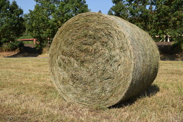Strohballen liegen auf dem abgeernteten Acker