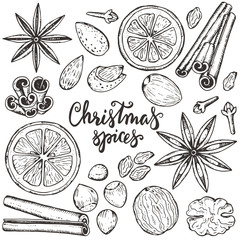 Collection of Christmas spices and citrus