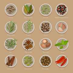 Spice or seasoning on plates like seeds and roots