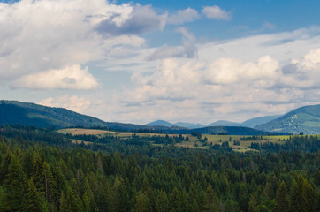 Fototapeta na wymiar Carpathian mountains in the west part of Ukraine