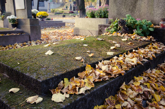 old grave in autumn time