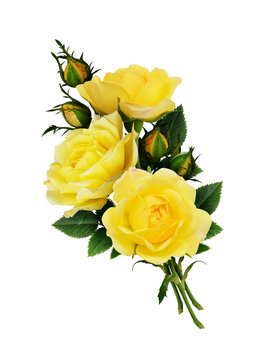 Yellow rose flowers bouquet