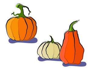 Pumpkins Isolated on White. Flat Design Style. Vector illustration