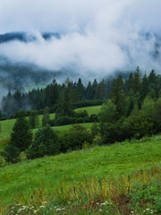 Fototapeta premium Wild nature in the autumn season