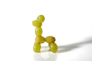 Food art creative concepts. Animals made of many fruits over white background