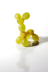 Food art creative concepts. Animals made of many fruits over white background