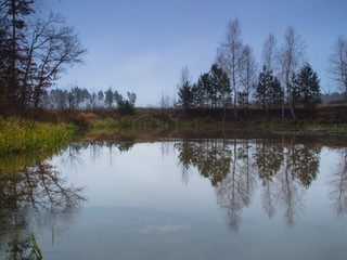 Wild nature in the autumn season