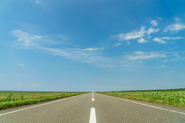 オロロンラインC