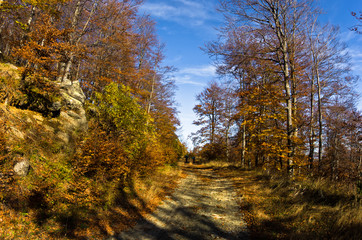 Mountain road at autumn sunny day at Zeljin mountain, Serbia