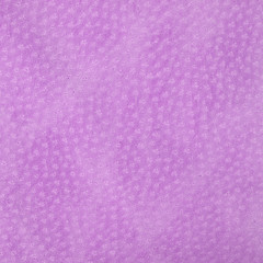 Leather texture