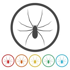 Spider Web Icon. Flat Design Vector Illustration