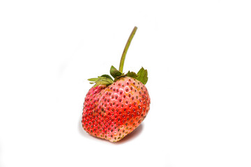 Strawberry close up on white background