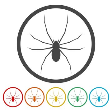 Spider Web Icon. Flat Design Vector Illustration