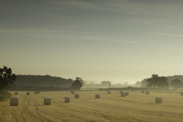 Wheat Bales In The Vale Of York