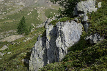 Switzerland, Valais, Lötschental,