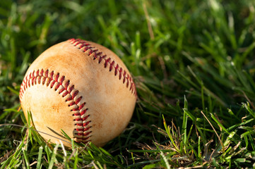 Baseball close up on grass